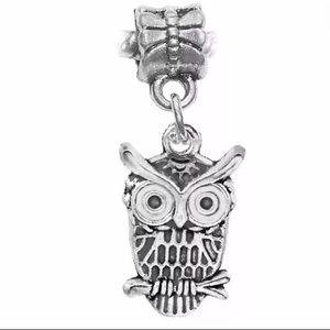 Silver Lucky Owl Dangle Charm